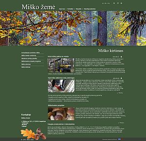 Interneto svetainių kūrimas Anykščiai